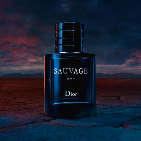 dior christian sauvage|Dior Sauvage cheapest price 100ml.